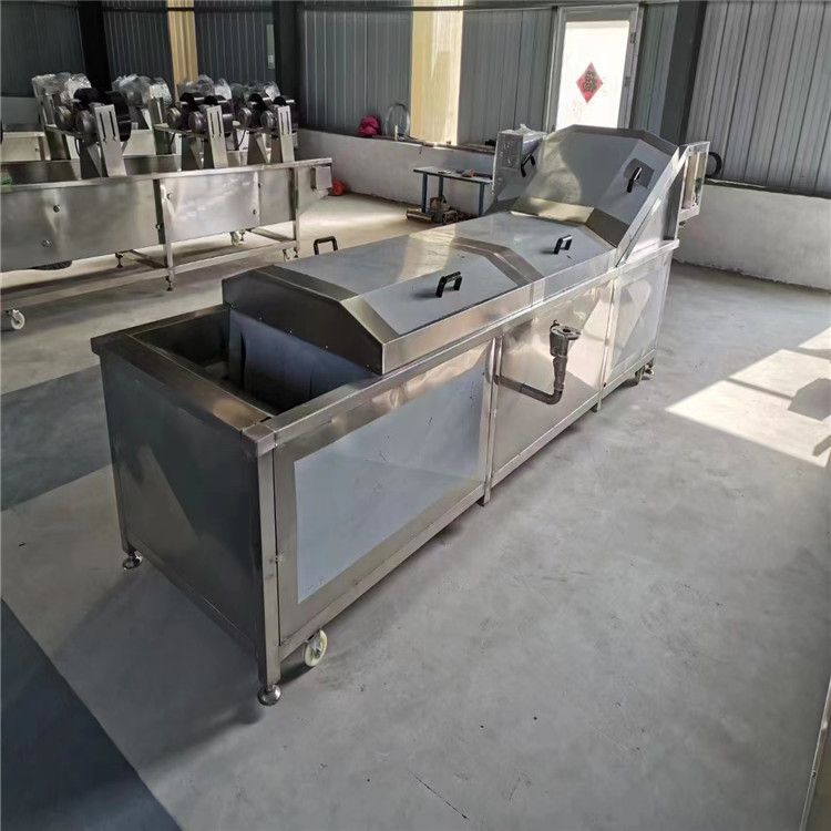 轉(zhuǎn)讓二手全自動(dòng)果蔬清洗流水線 不銹鋼氣泡清洗機(jī) 4米水果蔬菜噴淋洗菜機(jī)