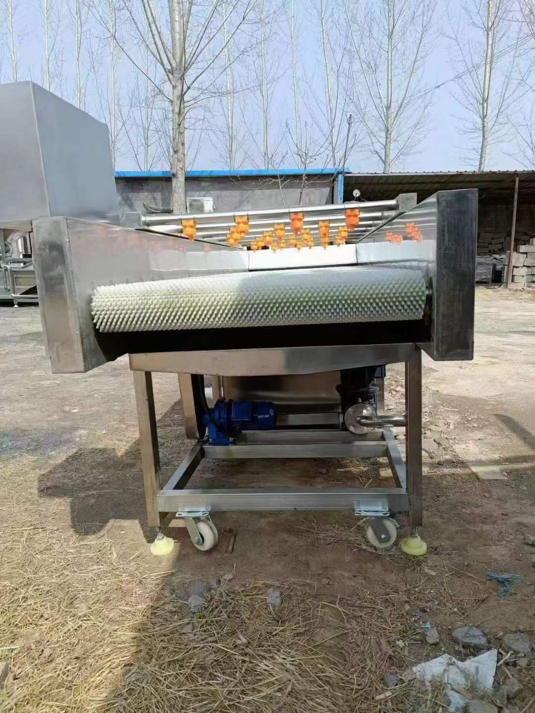 轉讓二手毛輥清洗機 一臺3米蔬菜水果毛輥清洗機