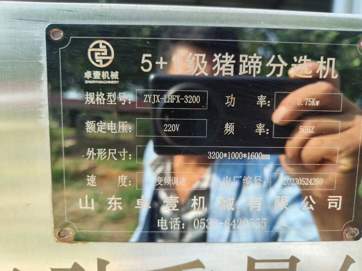 轉(zhuǎn)讓二手重量分選機 一臺3200型6級豬蹄重量分選機