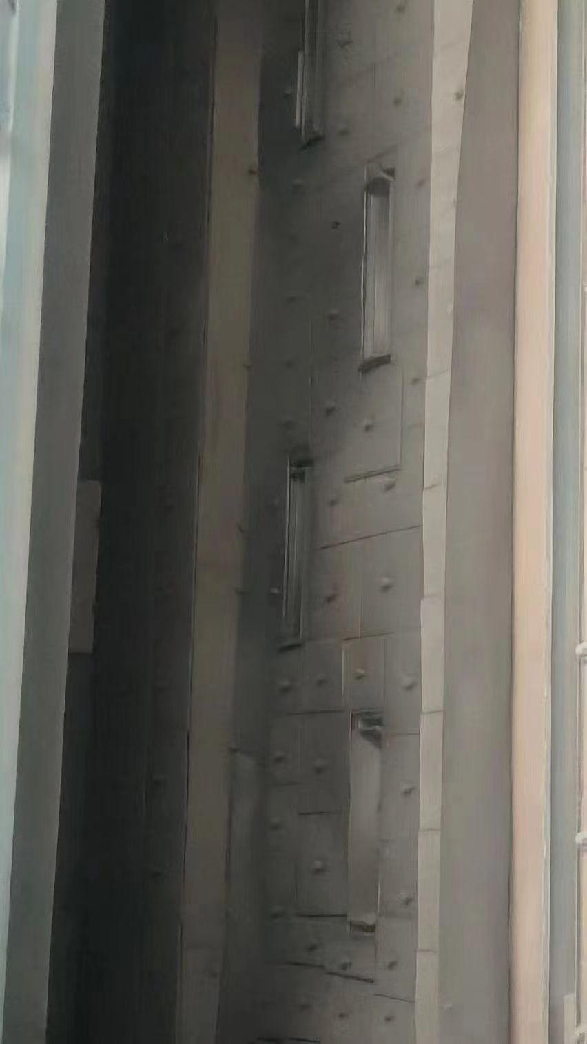 處理拋丸機(jī)寬三米高六米，單鉤十噸