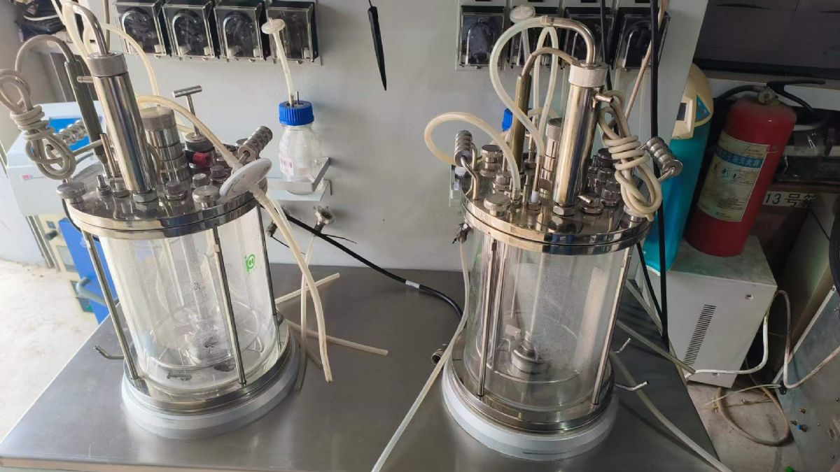 转让二手生物发酵罐 一套5L实验型上海保兴产双联玻璃发酵罐