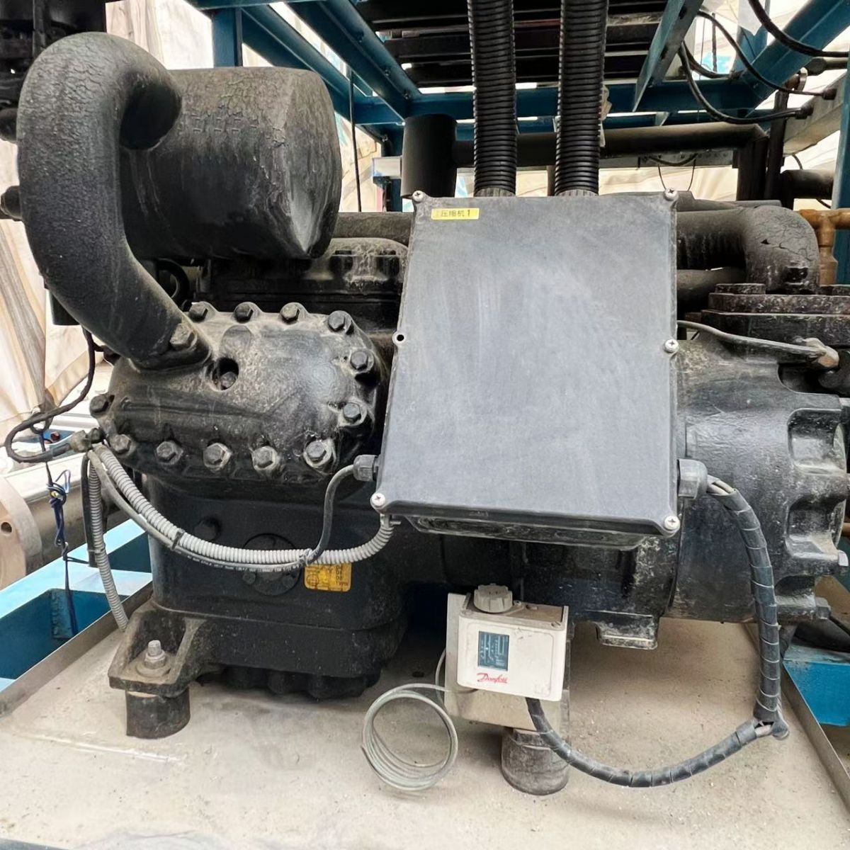 转让二手冷冻干燥机 一台面积30平方东富龙产真空冷冻干燥机