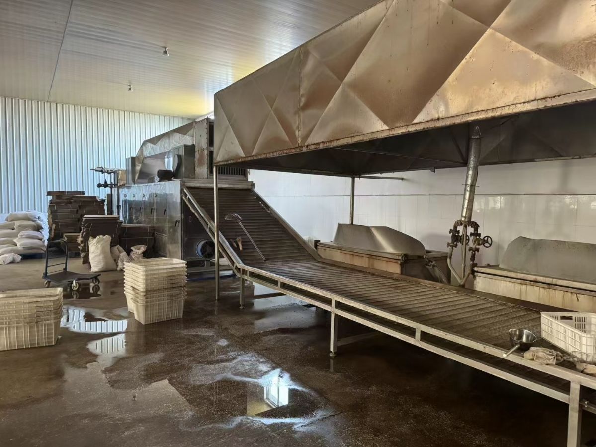 转让二手网带烘干机 一套宽度1.2米X8米5层蒸汽加热网带烘干机